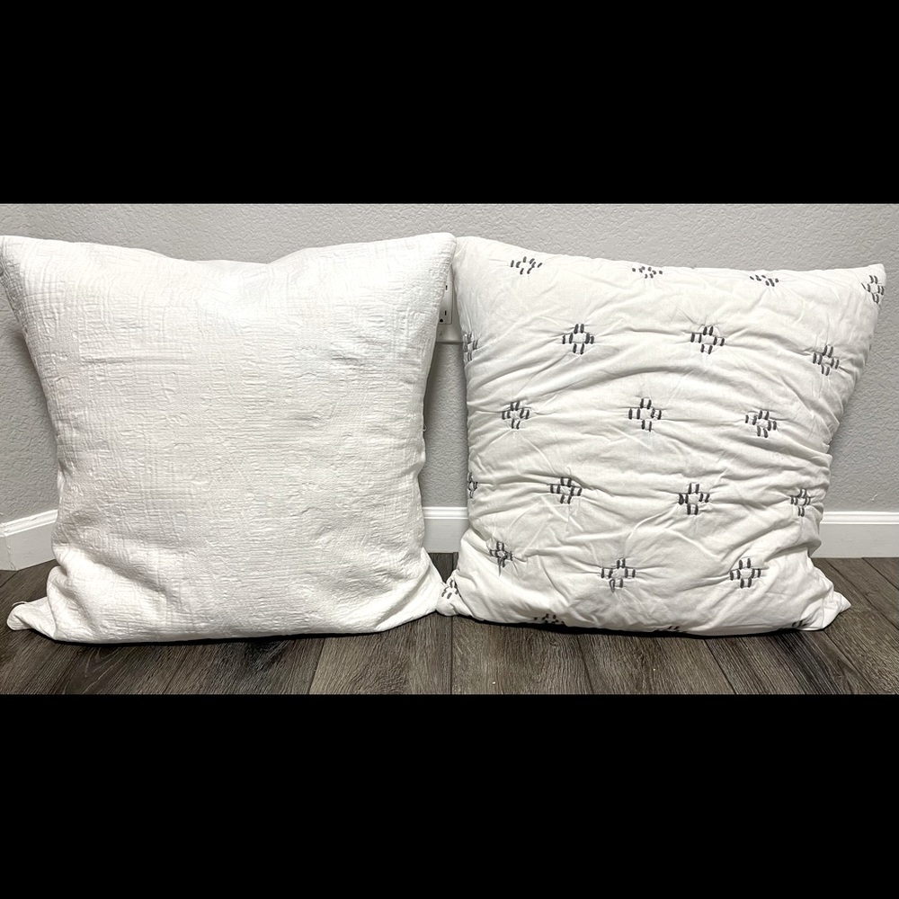 2 West Elm Euro Pillows & washable covers NEW